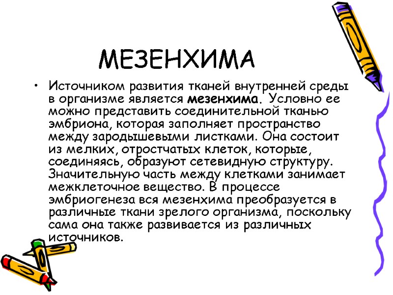 МЕЗЕНХИМА Источником развития тканей внутренней среды в организме является мезенхима. Условно ее можно представить